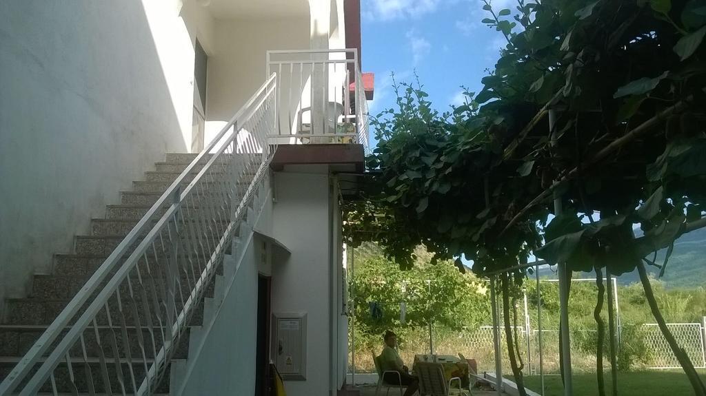 Guesthouse Djurisic ヘルツェグ・ノヴィ エクステリア 写真